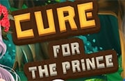 Cure For The Prince