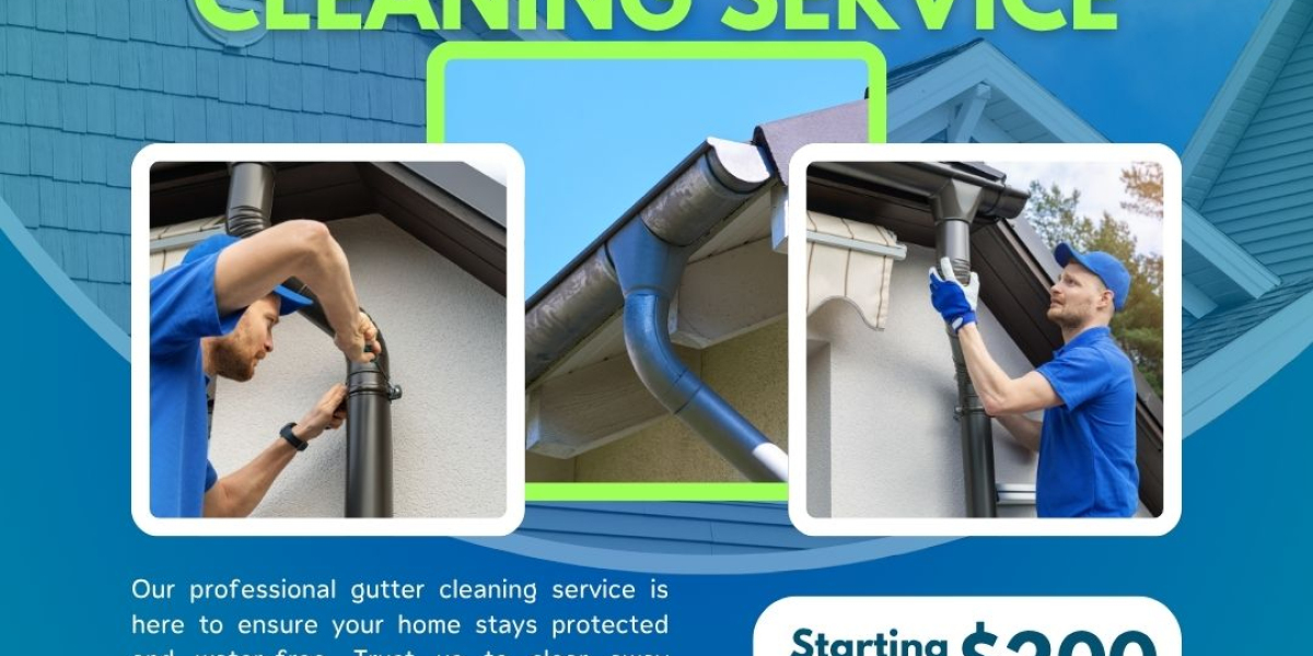 Professional Gutter Cleaning in Essendon: Why It Matters More Than You Think
