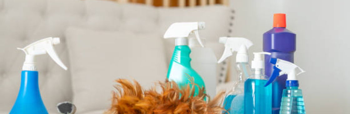 EVER STEAM CARPET CLEANING LLC