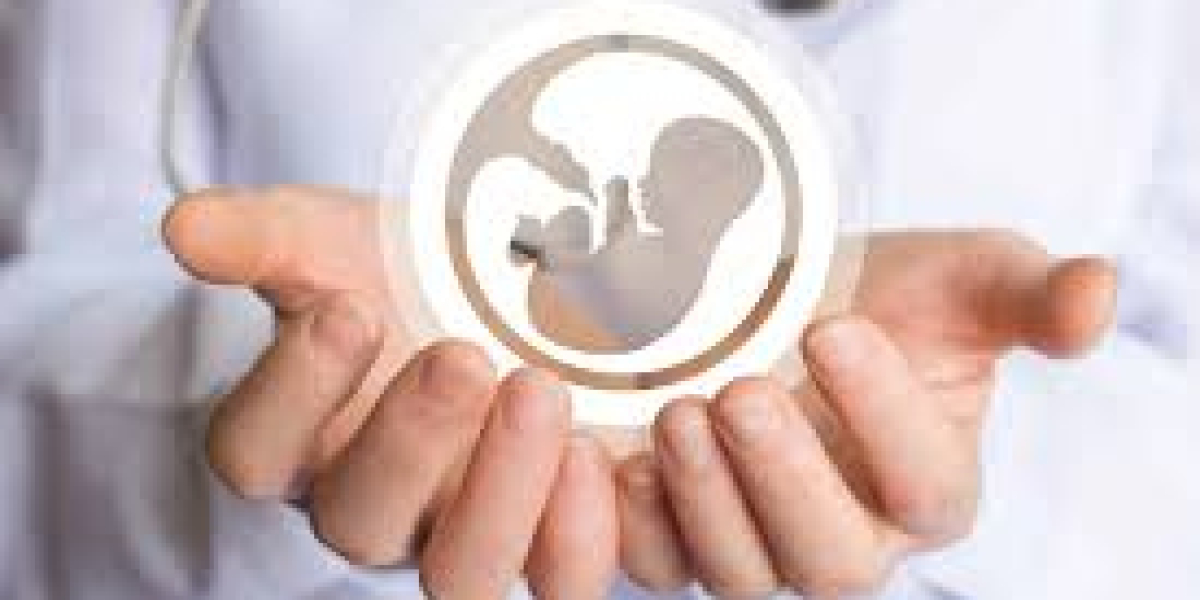 Understanding the Success of Modern Fertility Clinics in Lahore