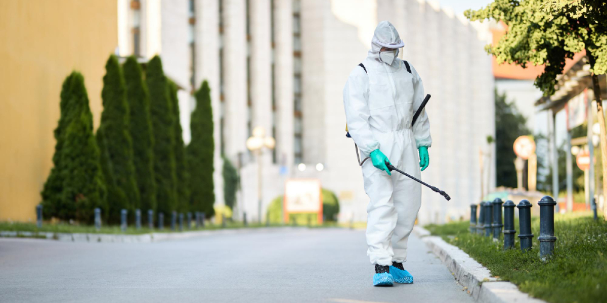 Commercial Pest Control Services in Canada: Protecting Your Business the Right Way