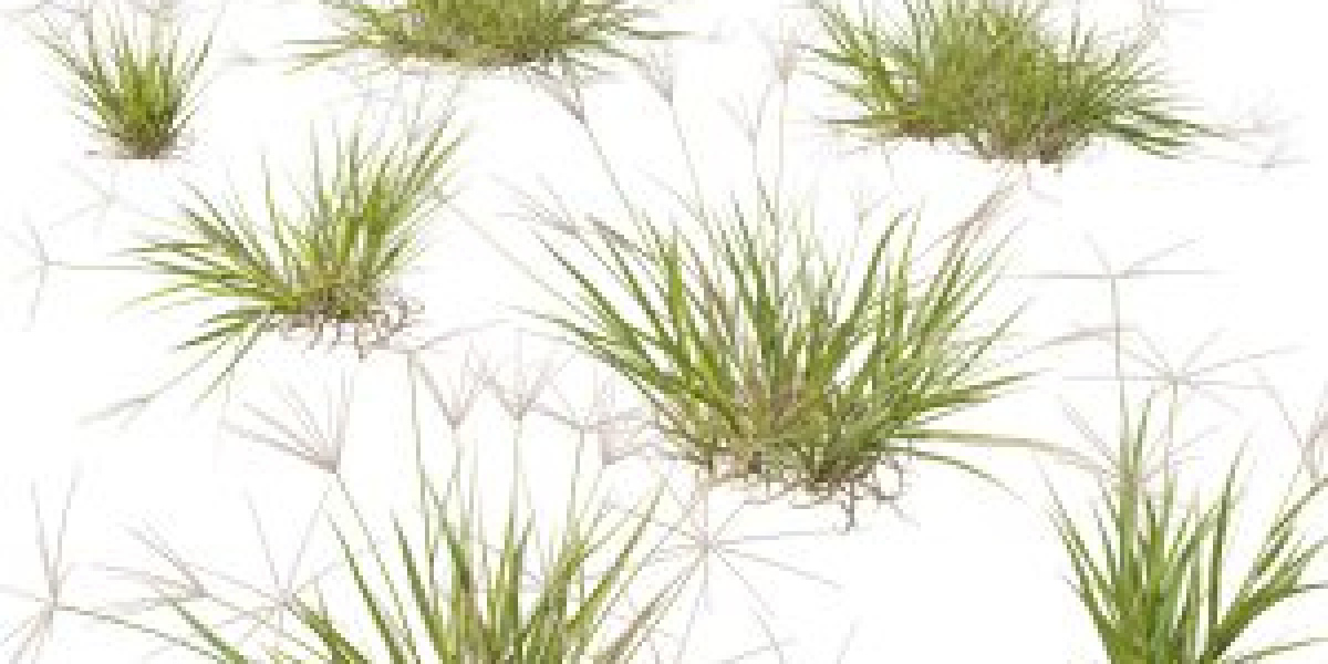 Twinmotion Tree 3D Models – Free Download Today