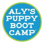 Aly's Puppy Boot Camp