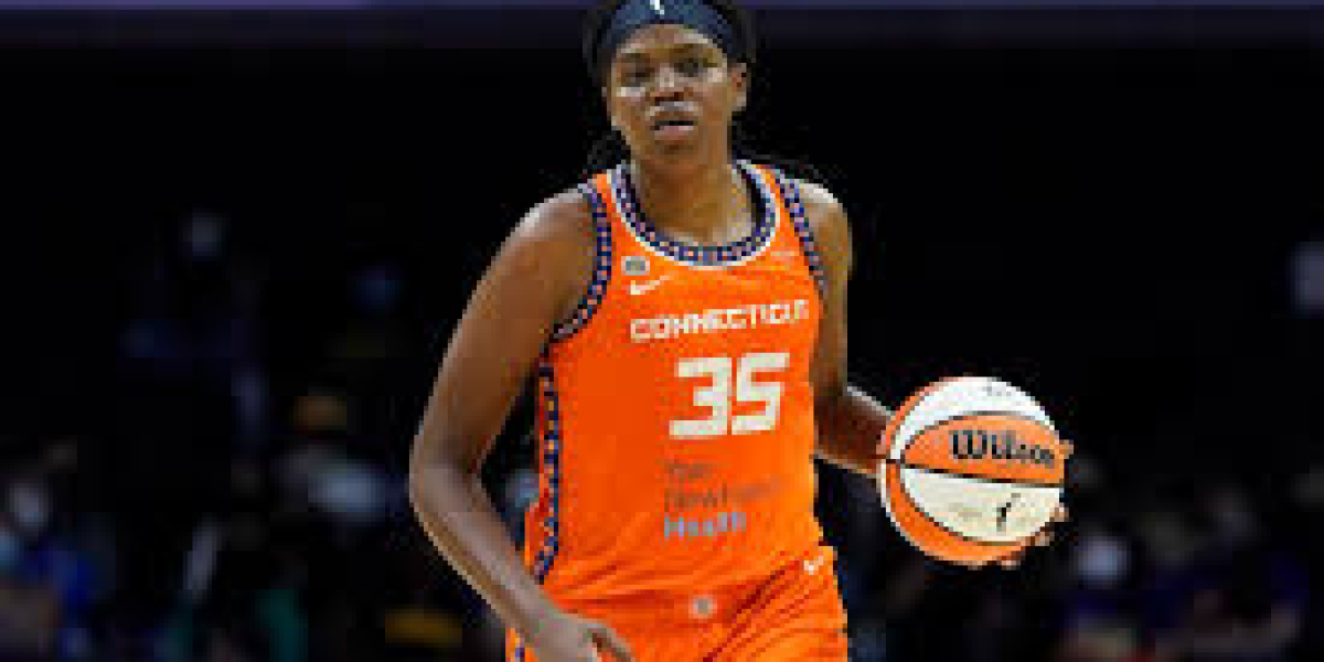 The Connecticut Sun Announce 2023 ‘‘ Gamings completely' Recipients