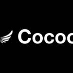 Digital Marketing Consultant