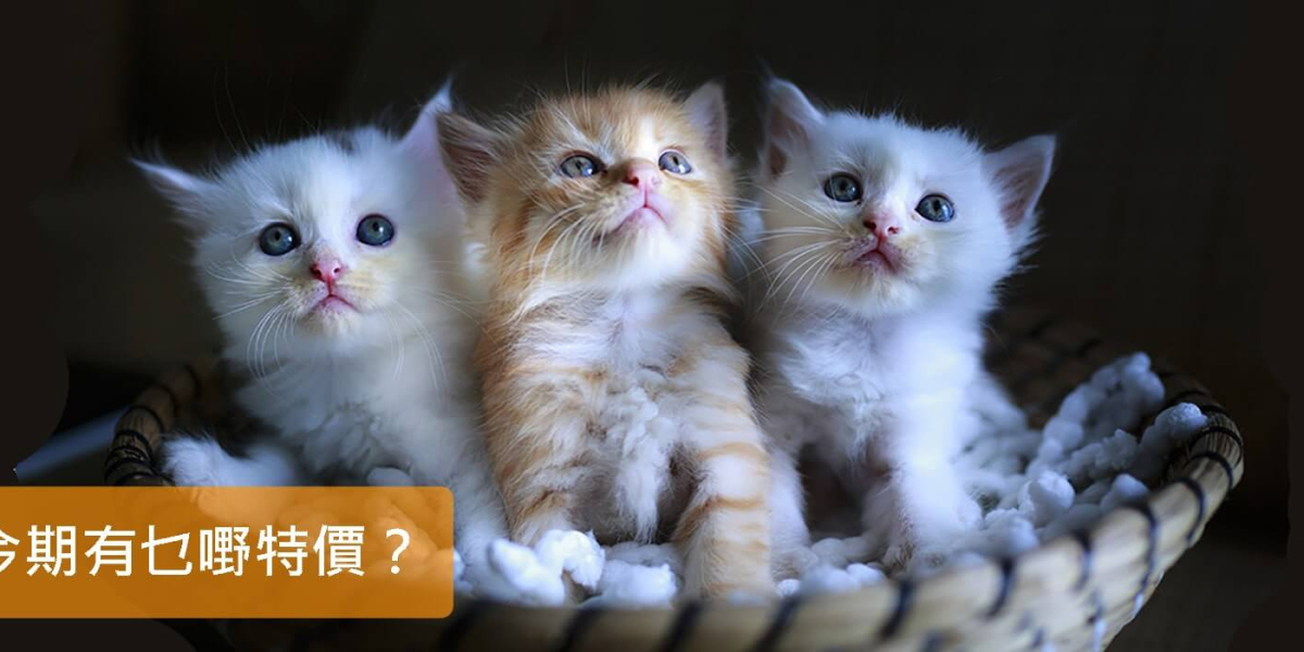Wise Pet 寵物用品店 – 您的香港寵物店首選