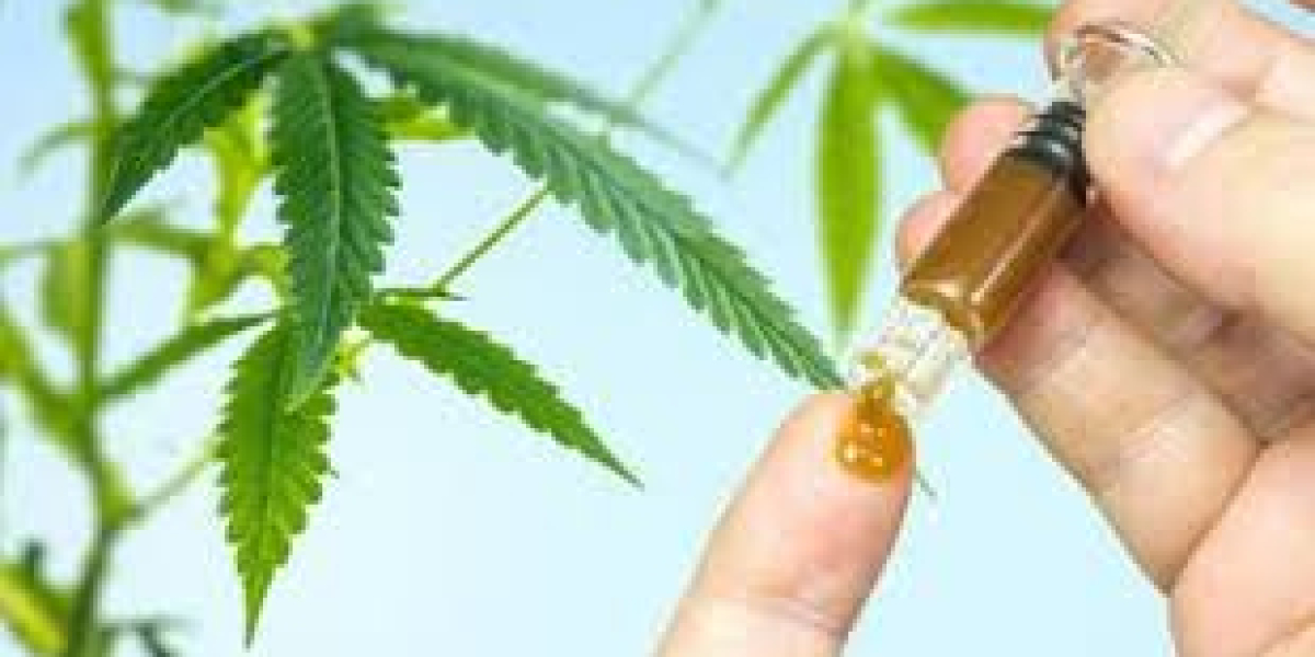 CBD Libourne : Des Solutions Naturelles pour le Bien-Être au Quotidien