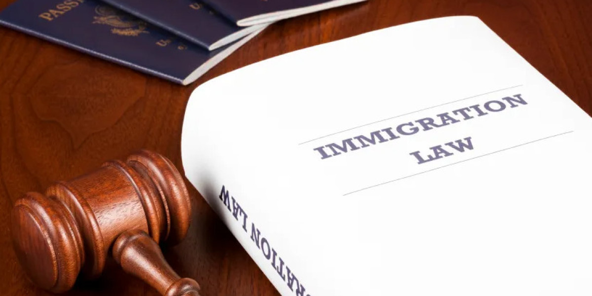 Why Immigration Lawyers in California Are Essential for Your Case