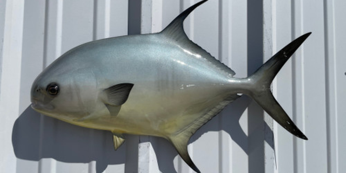 High-Quality Fish Replica and Fish Mounts – Preserving Your Trophy Catch