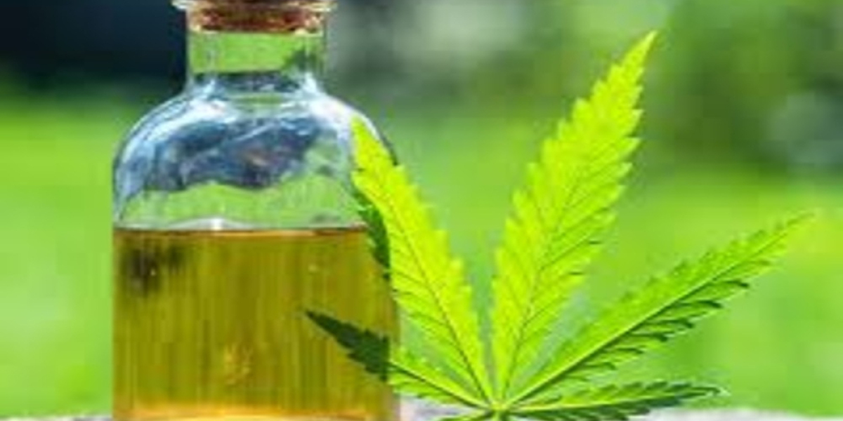Pourquoi le CBD Morbihan séduit de plus en plus les habitants du département ?