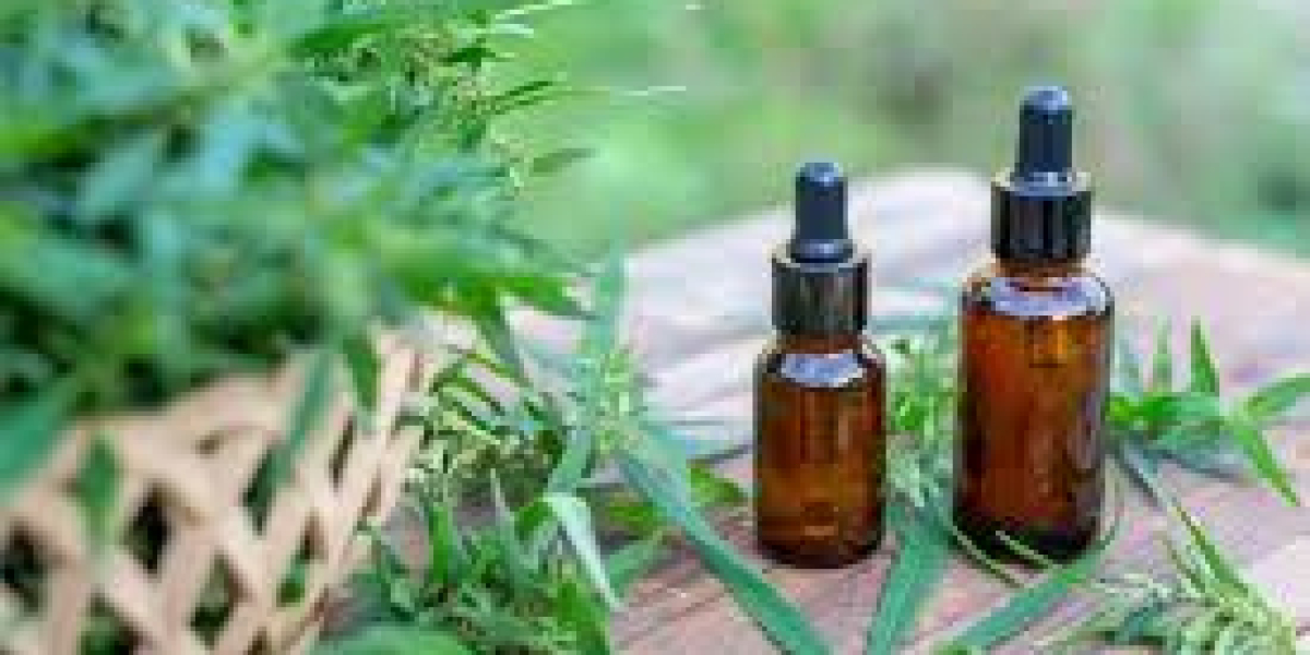 CBD Biarritz : un allié bien-être entre océan et sérénité