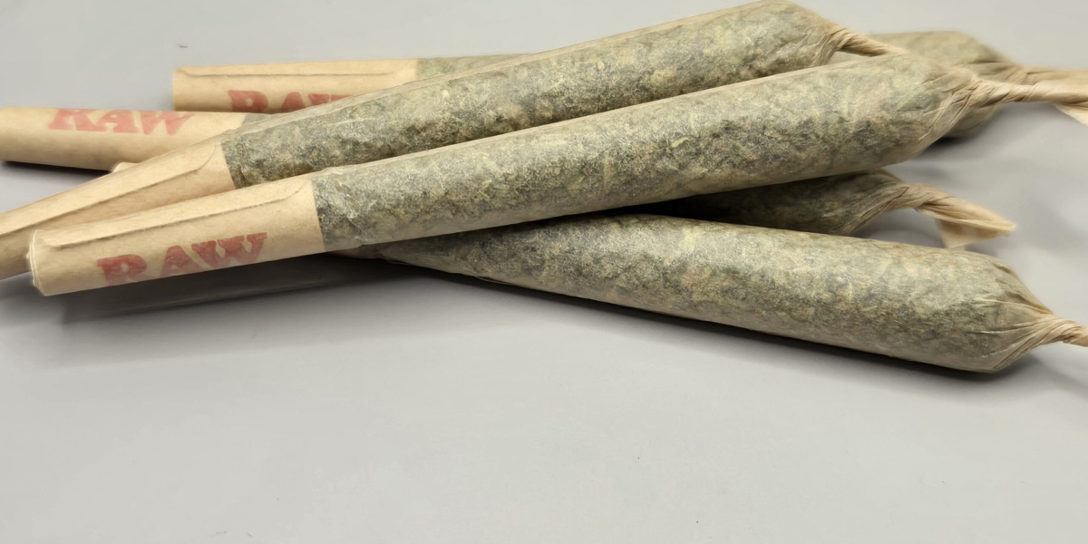 The Rise of Infused Pre Rolls: What Makes Them So Popular in 2025?