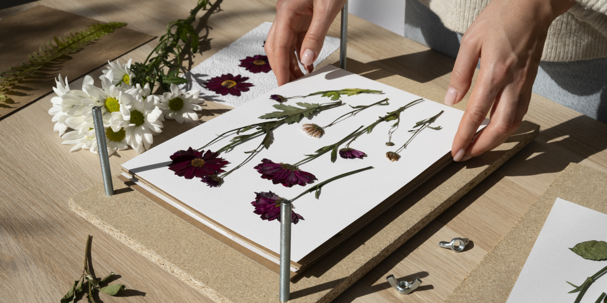 Pressed Flower Frame Sydney – Handcrafted Beauty