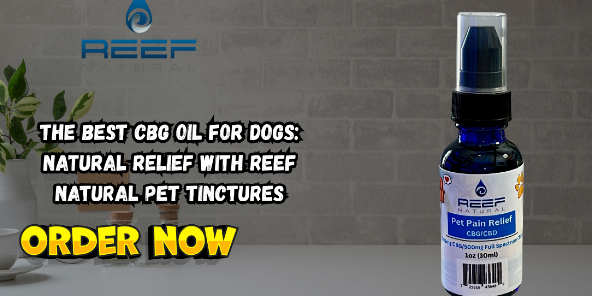 The Best CBG Oil for Dogs: Natural Relief with REEF Natural Pet Tinctures