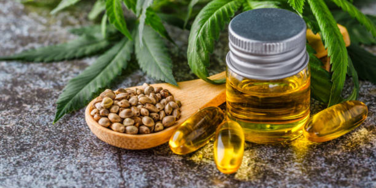 CBD La Rochelle : comment cette ville maritime adopte le bien-être naturel ?