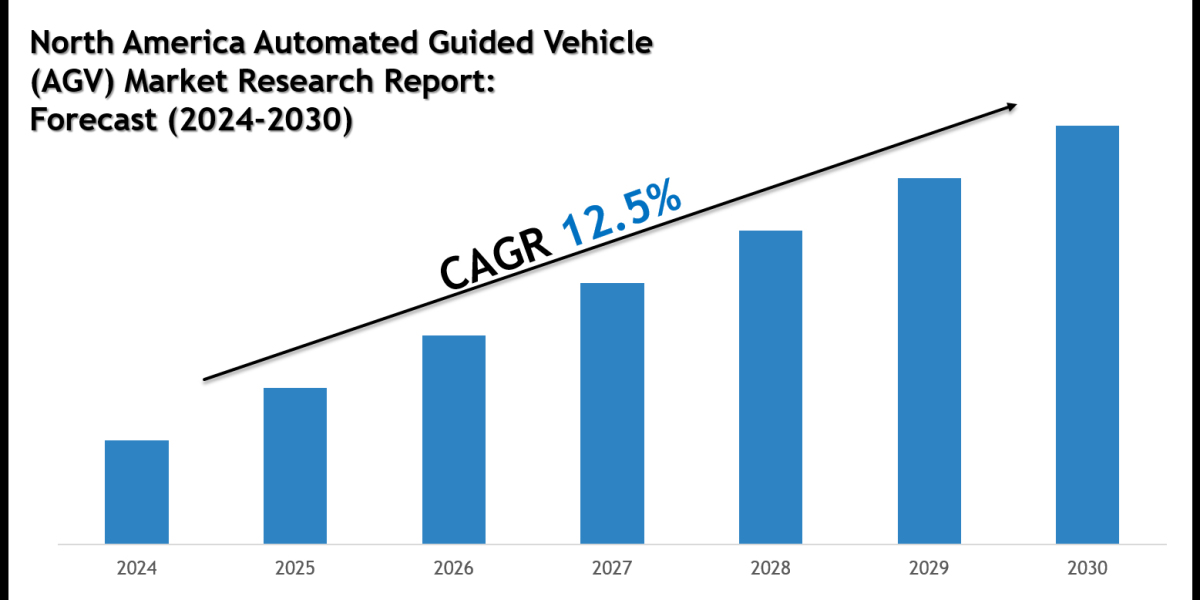 Top Companies in the North America Automated Guided Vehicle (AGV) Market 2030