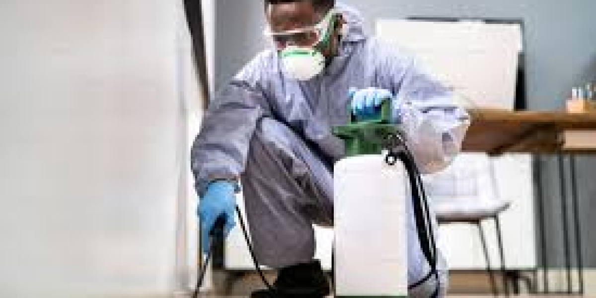 The Impact of Clutter on Pest Breeding Grounds