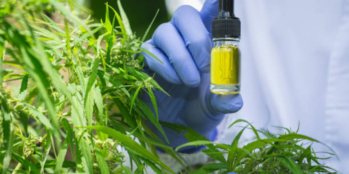 CBD Poitiers : la nouvelle tendance bien-être qui séduit la Vienne