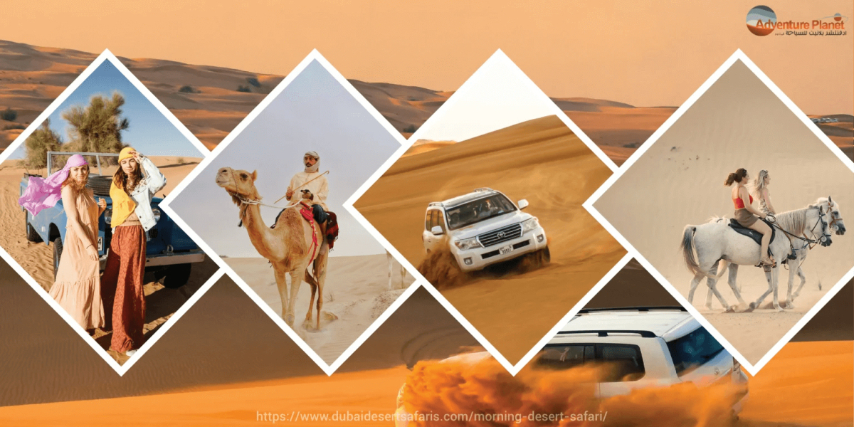 Unforgettable Reasons to Try Morning Desert Safari