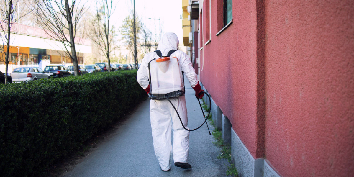 Ultimate Guide to Pest Control Services in Brampton – Safe Home Pest Services