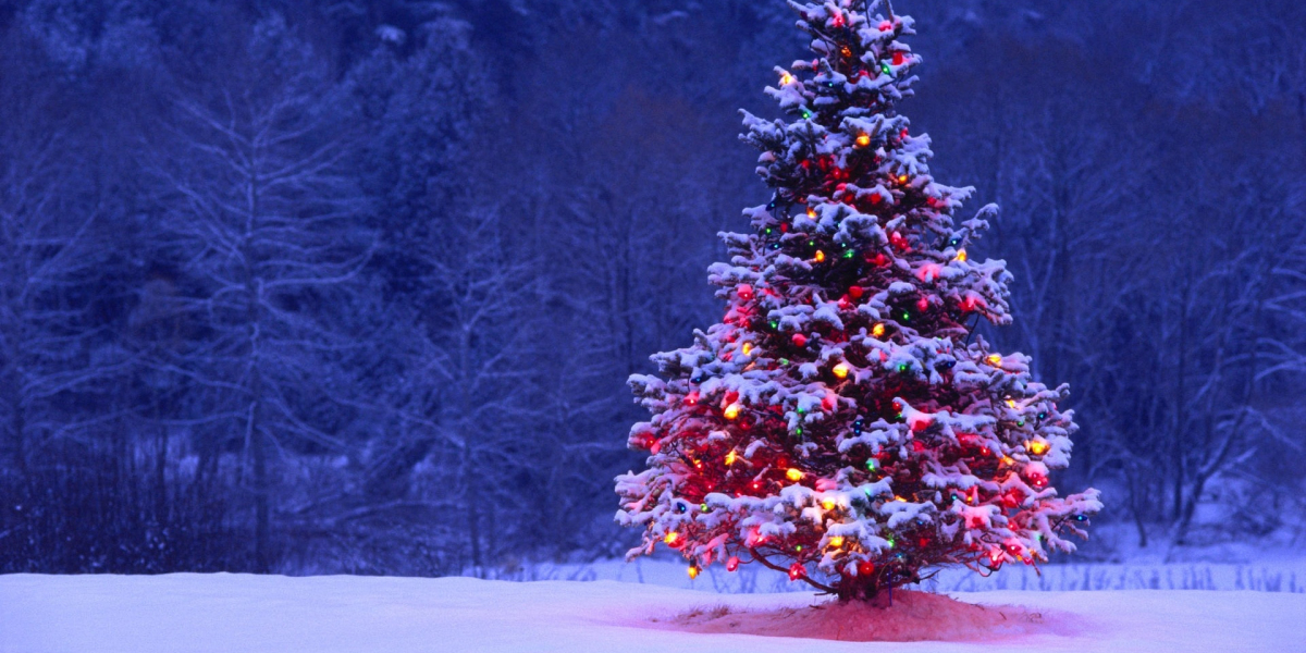 Perfect Prelit Christmas Tree Ideas to Brighten Your Festive Evenings