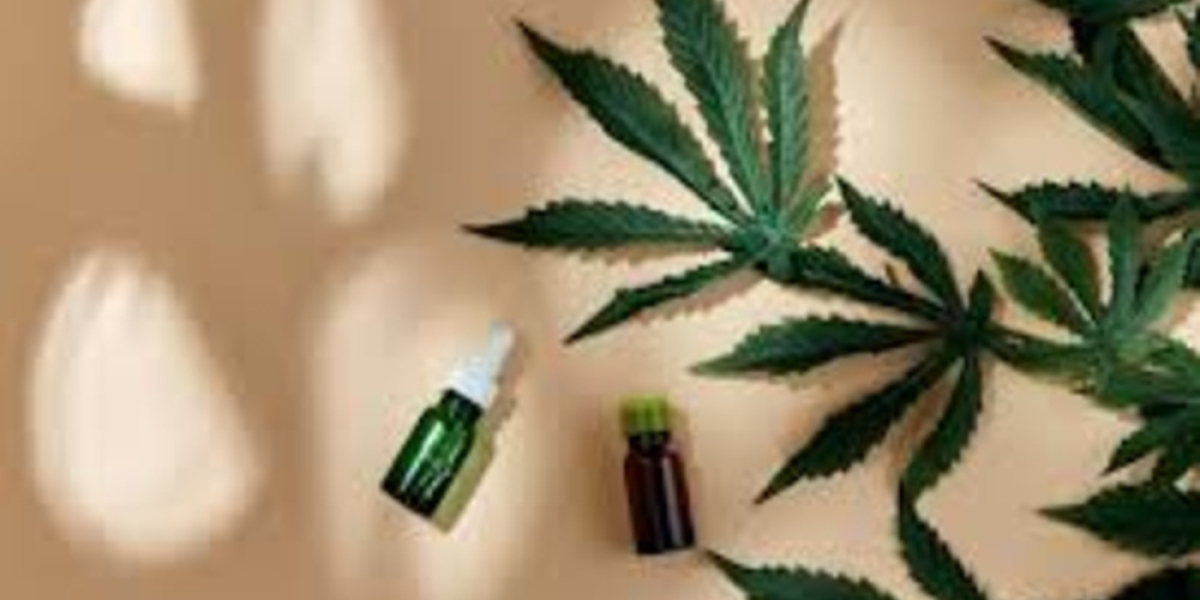 CBD 56 : Le guide complet pour profiter pleinement du cannabidiol dans le Morbihan