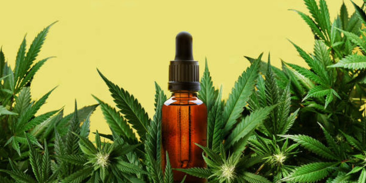 CBD Mérignac : pourquoi cette ville proche de Bordeaux mise sur le bien-être naturel ?