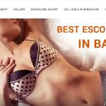 vjescort Vj Escort