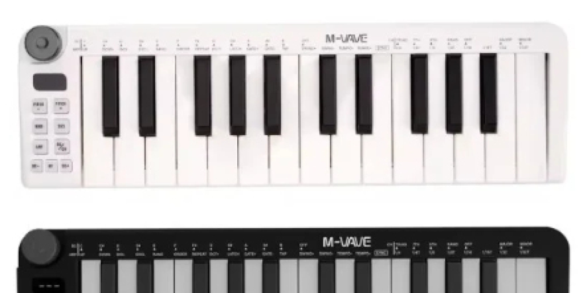Musical Instruments That Inspire: Explore Quality Sound with PUZB Today!