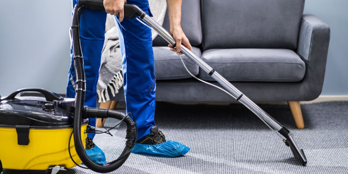 10 Best Deep Clean Carpet Cleaners for a Spotless Home