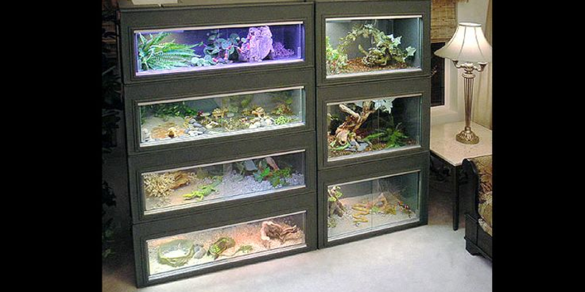 How to Choose the Best Reptile Shipping Supplies