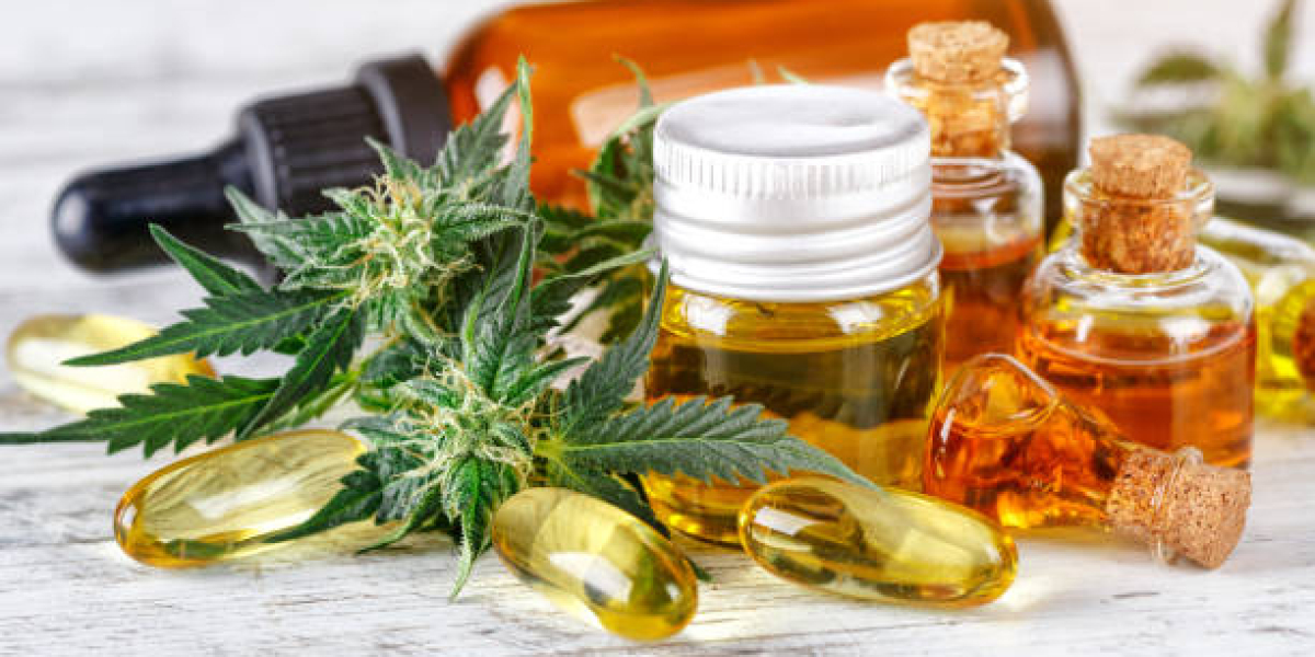 CBD Bayonne : la nouvelle vague du bien-être au Pays Basque