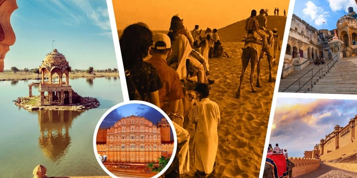 Top Wildlife Sanctuaries and National Parks in Rajasthan