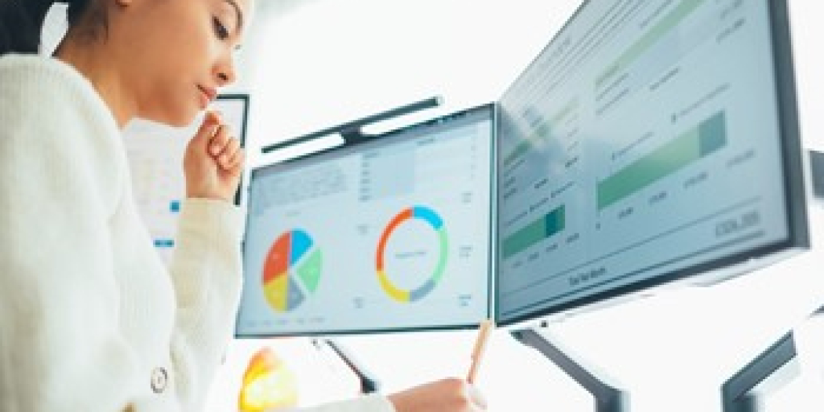 Business Software for Local Government: Digital Solutions to Modernize Operations