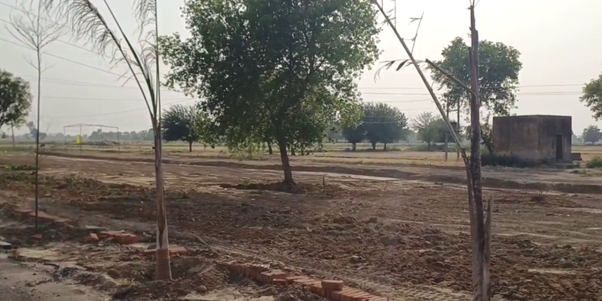 Affordable Residential and Commercial Plot Near Jewar