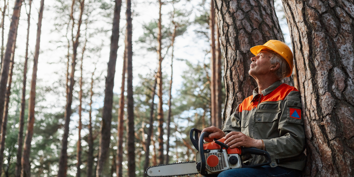 4TH Generation Tree: Where Family Roots Meet Professional Care
