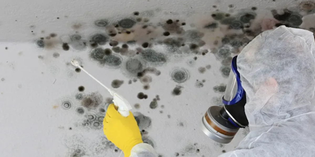 Mold Testing and Inspection in Sewell, NJ You Need