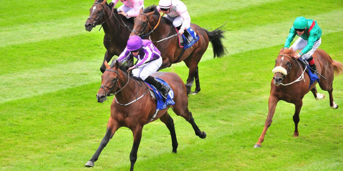 Betfair Success: 3 Horse Racing Trading Strategies That Deliver