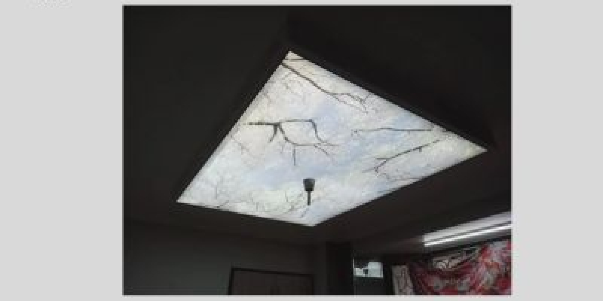 What is Stretch Ceiling? | Leading Stretch Ceiling Manufacturers in Noida- berrisol & lllusion Decors