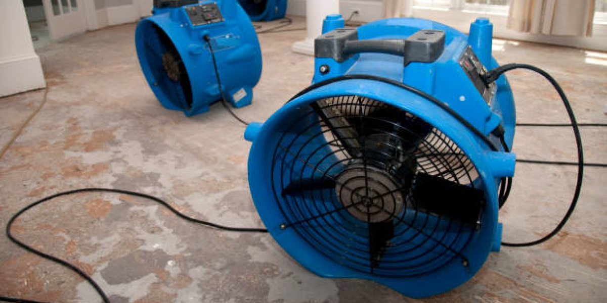 What’s the Best Way to Prevent Mold After Water Damage?