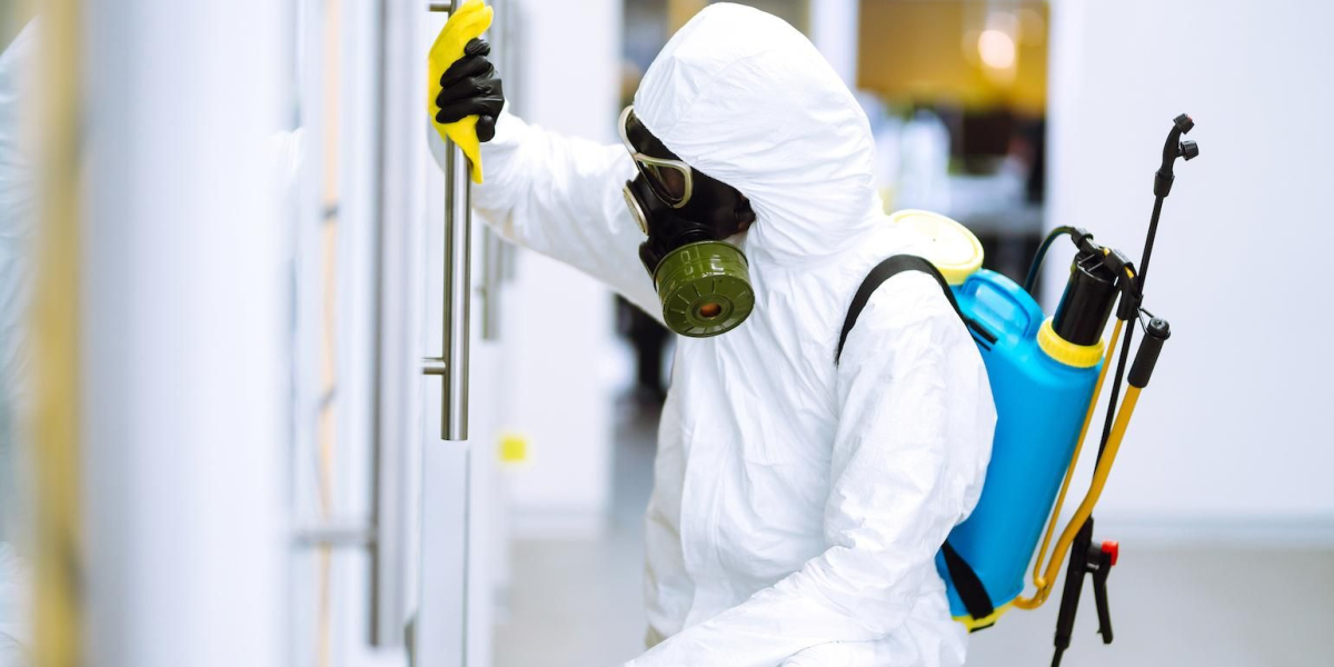 Effective DuPage County Pest Control for Homes and Businesses