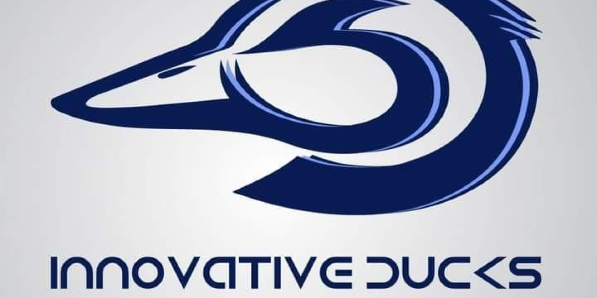 Innovative Ducks – Trusted SEO Agency in Karachi
