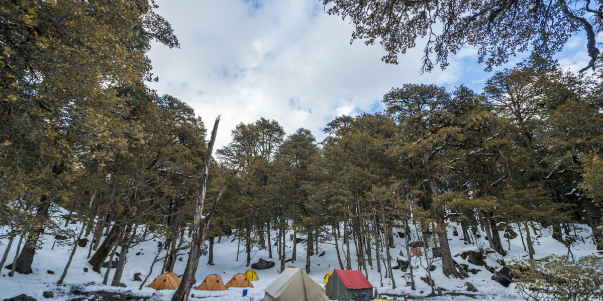 The Kuari Pass Trek – What Really Happened