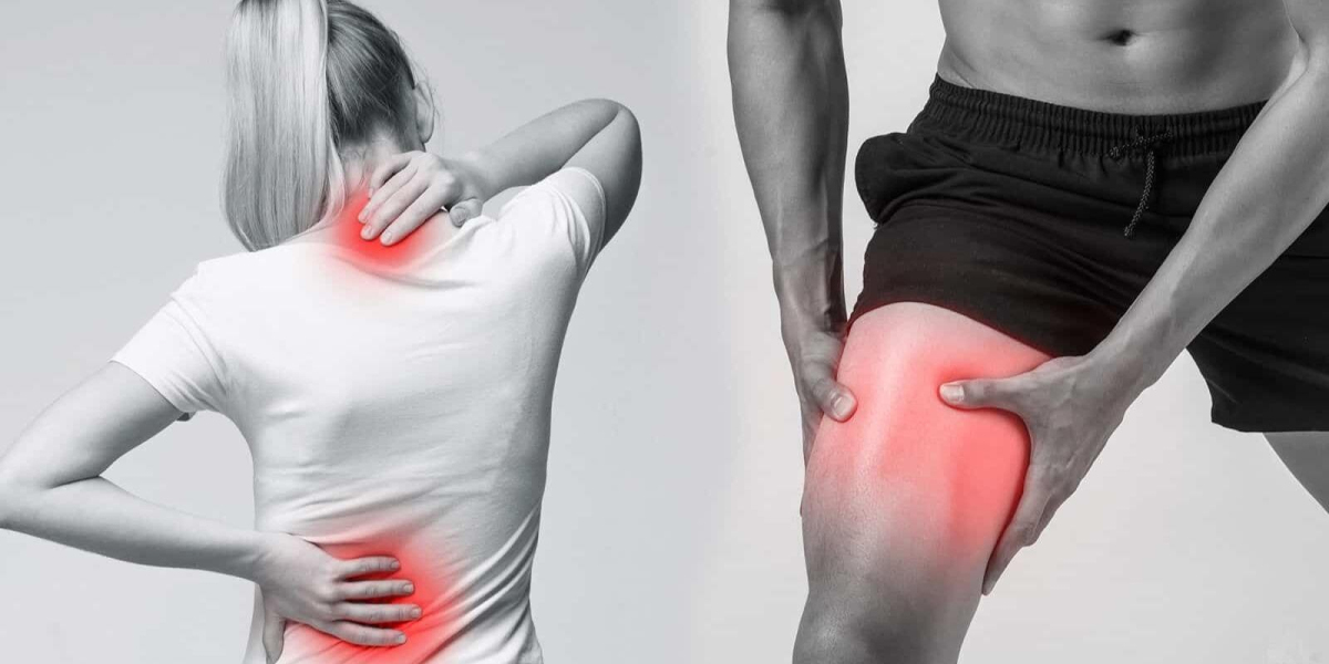 Curalis CBD Capsules UK: How They Work and What to Expect