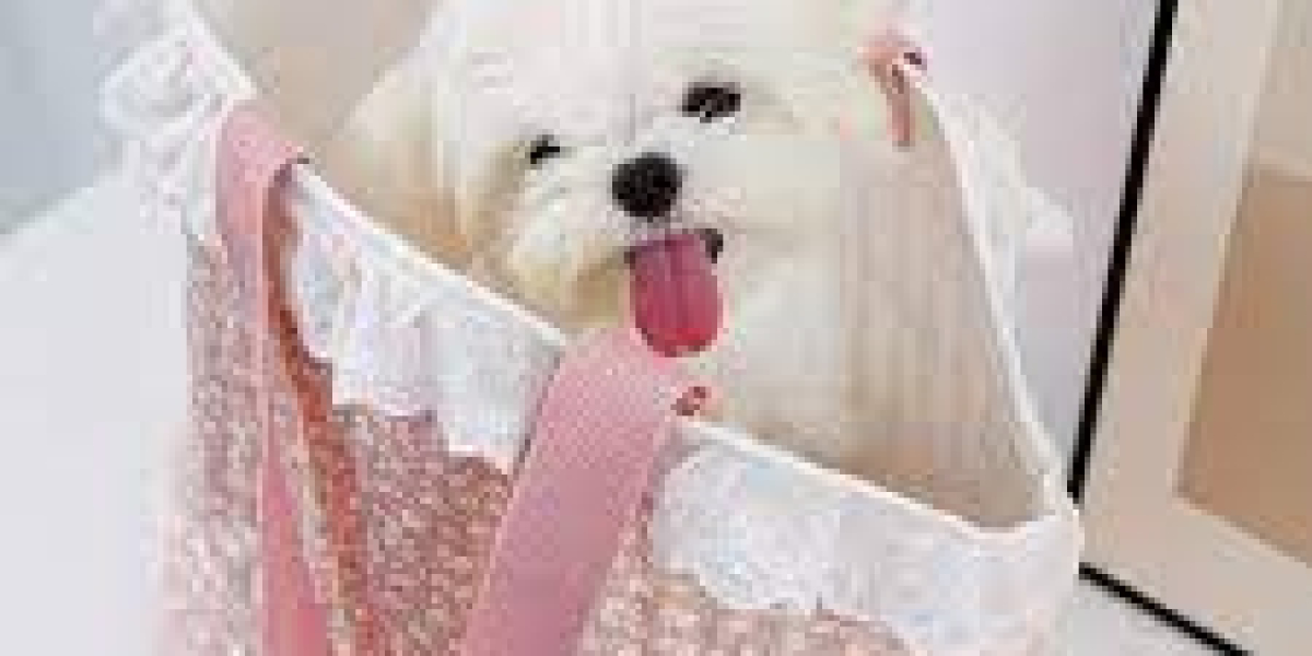 Stylish Companions on the Go: Why Every Pet Lover Needs a dog carrying purse