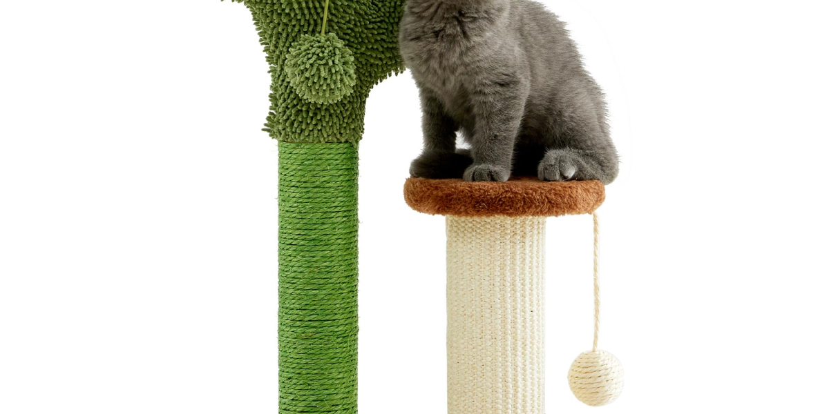 Discover the Perfect Companion for Your Feline Friend