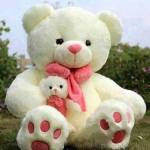 pamla lamb
