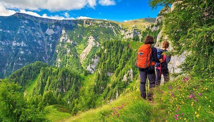 valley of flowers trek