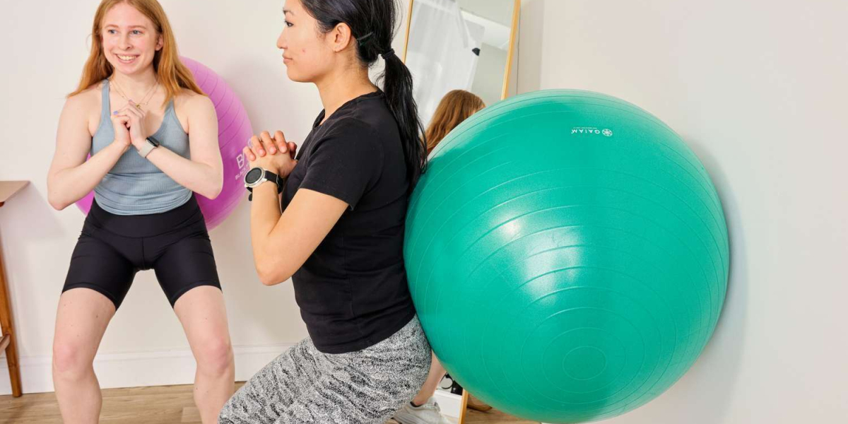 Fitness Balls Market Report with Focus on Landscape | Current and Future Development 2024-2032