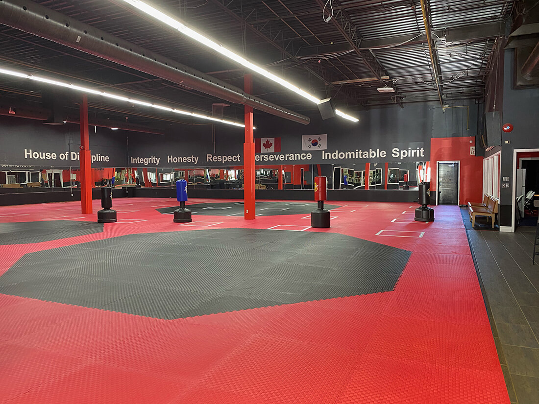 Karate Training Academy in Oakville: Dragon Taekwondo Classes
